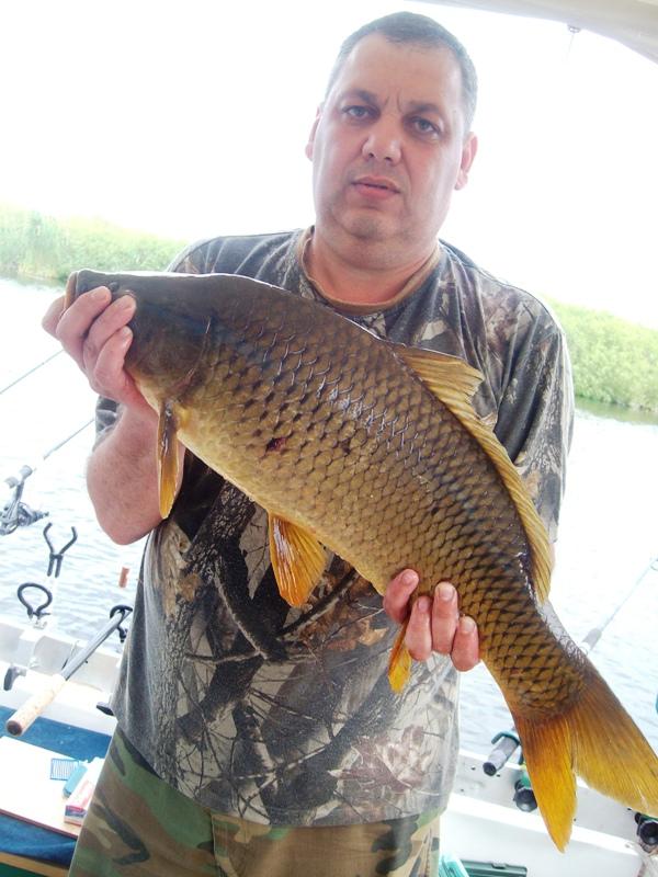 Delta iunie 2013 - sany0712.JPG